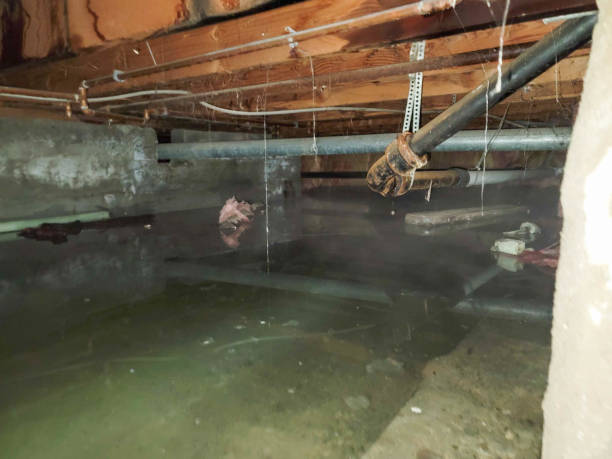 Water damage restoration process in WI